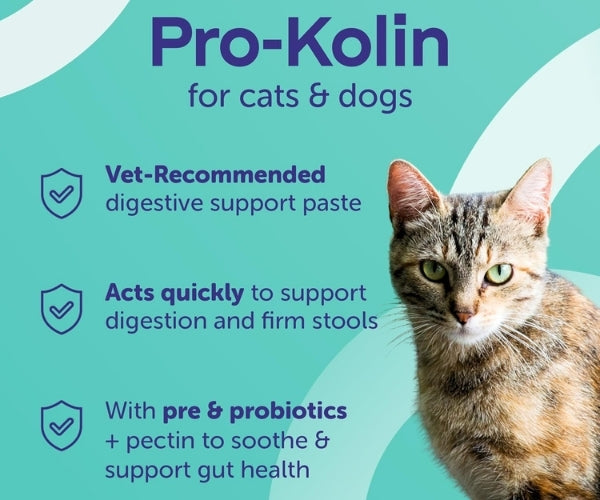 Protexin Pro-Kolin Paste - Fast-Acting Digestive Support for Dogs 15ml, 30ml, 60ml