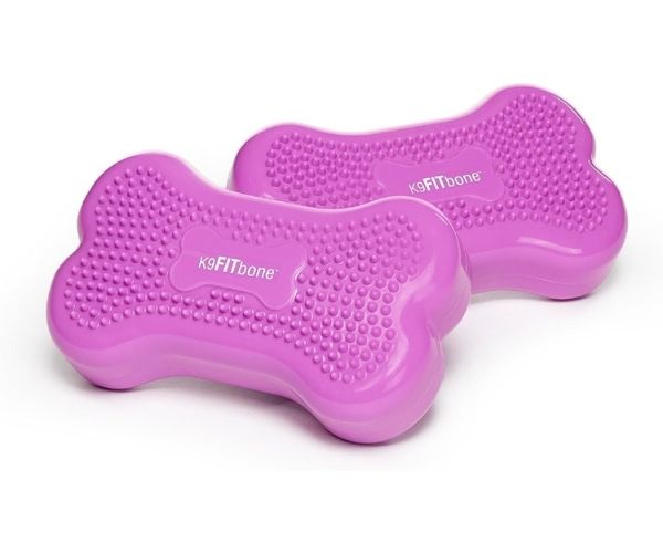 FitPaws Bone Mini (Set of 2) - Razzleberry, Blue or Mango