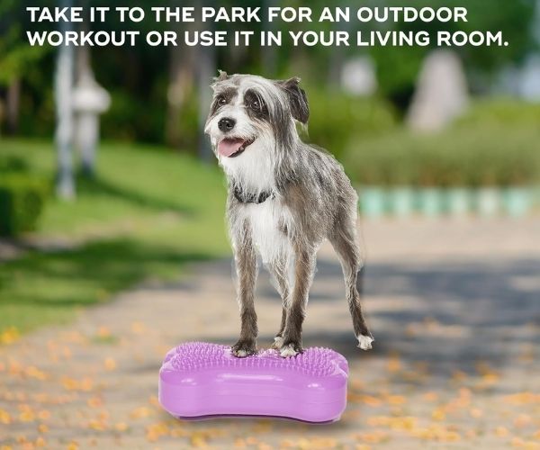 FitPaws Bone Mini (Set of 2) - Razzleberry, Blue or Mango