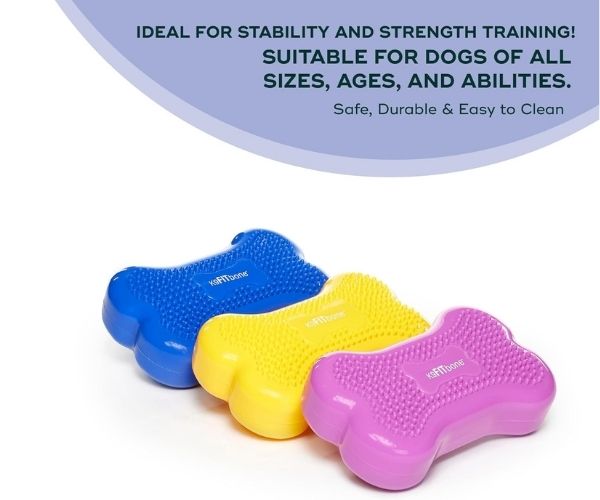 FitPaws Bone Mini (Set of 2) - Razzleberry, Blue or Mango