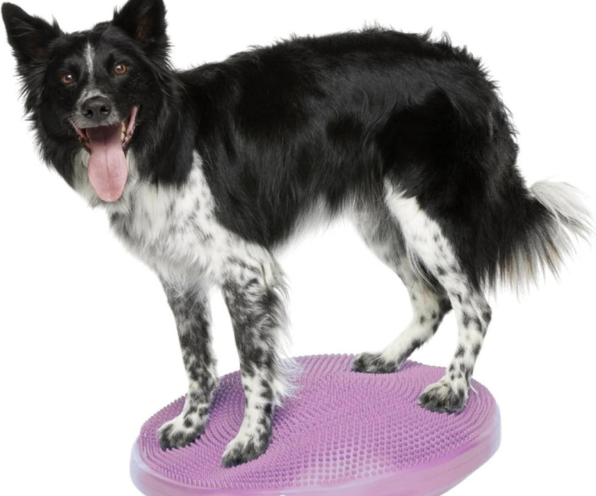 FitPaws Balance Disc 14", 18" or 22" - Blue or Razzleberry