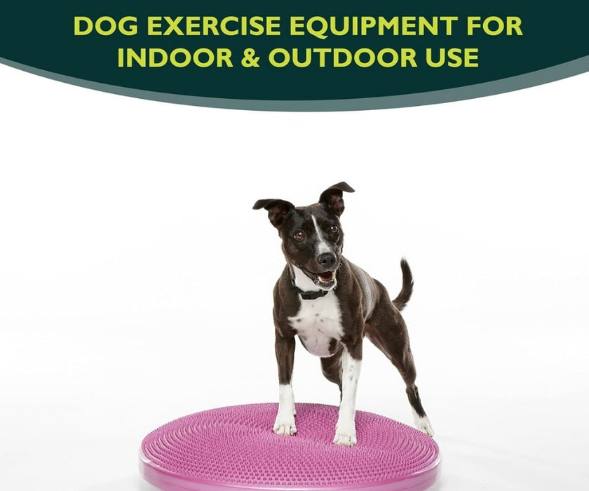 FitPaws Balance Disc 14", 18" or 22" - Blue or Razzleberry