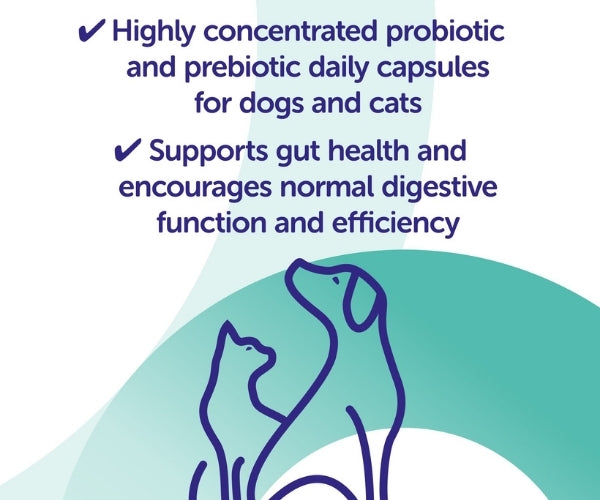 Protexin Synbiotic D-C - Gastrointestinal Support for Dogs 50 Capsules