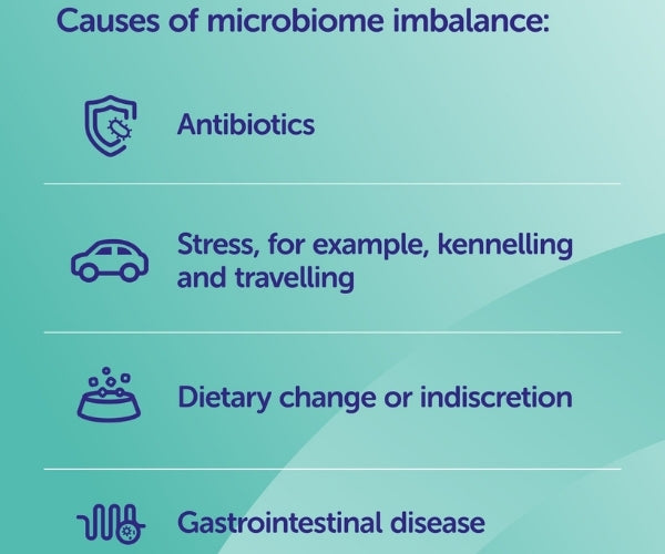 Protexin Synbiotic D-C - Gastrointestinal Support for Dogs 50 Capsules