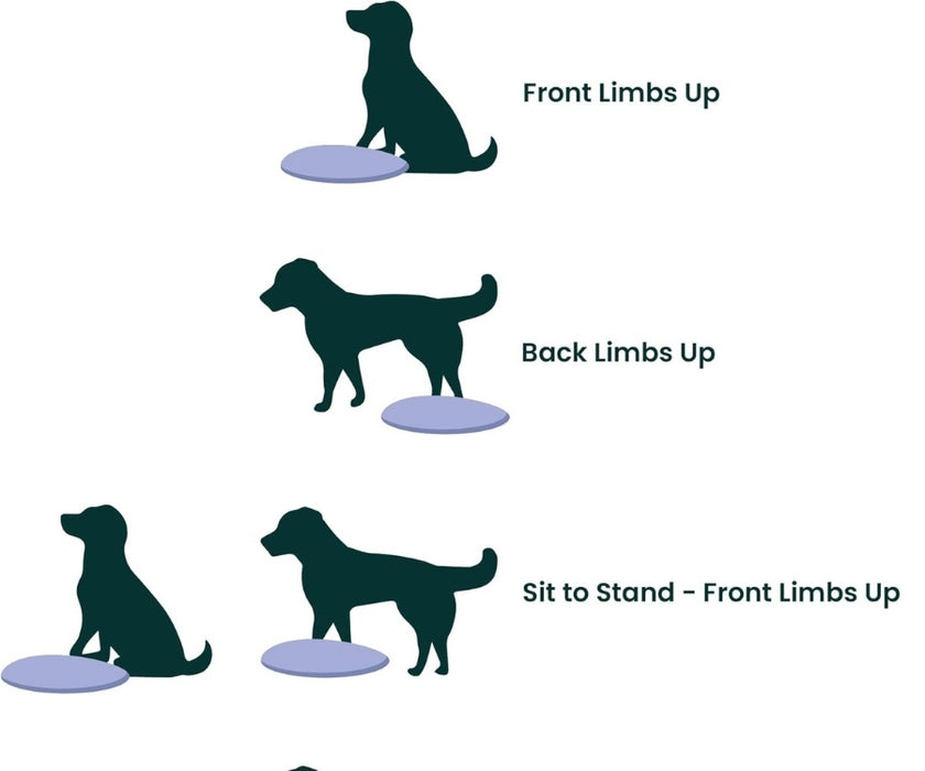 FitPaws Balance Disc 14", 18" or 22" - Blue or Razzleberry