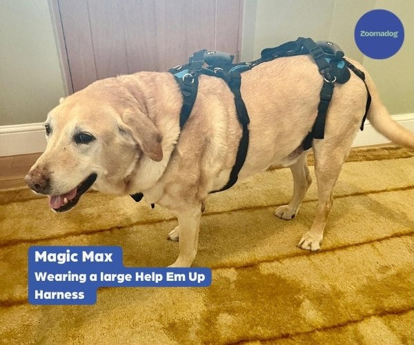 Help Em Up Harness - The Complete Dog Lifting Harness