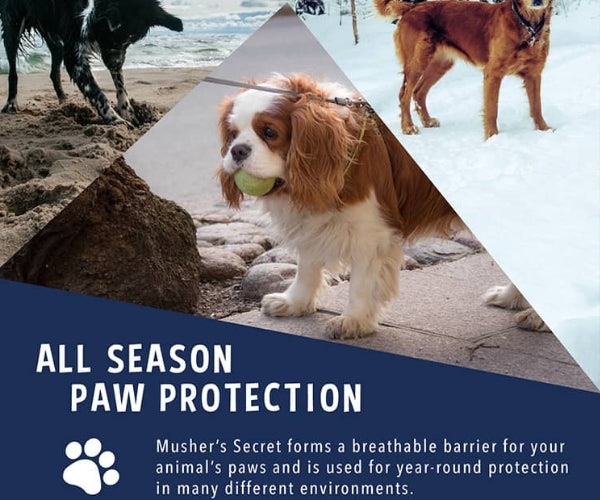 Musher's Secret Paw Wax for Dogs - All Season Natural Paw Protection