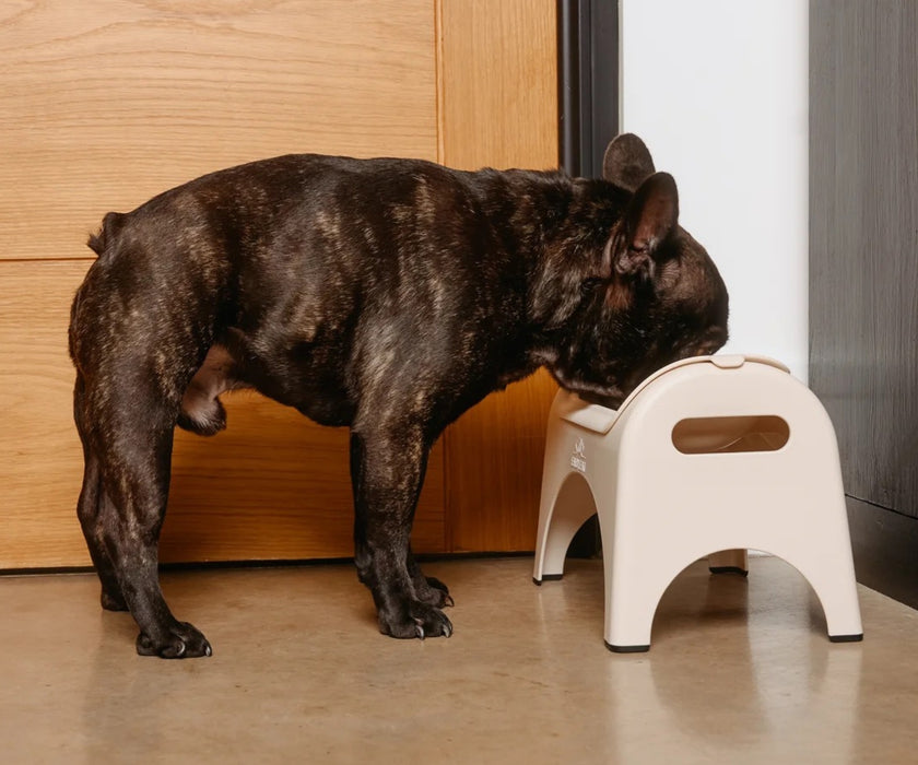 EasyEat Raised Feeder Set for Dogs - Encourages Better Posture, Comfortable Feeding and Supports Digestion