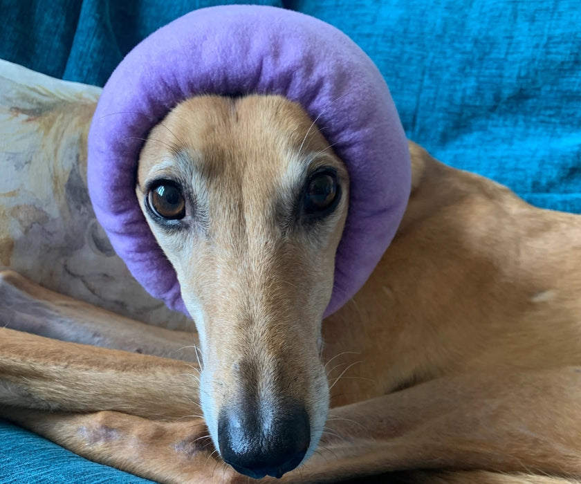 Soothe & Settle Dog Hush Muff - Noise Reducing Calming Snood for Anxiety, Travel & Stressful Situation Support