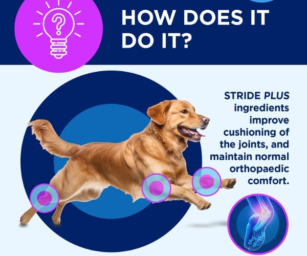 TRM Pet Stride Plus Liquid Supplement for Dogs - Maintains Healthy Cartilage & Joints 200ml or 500ml