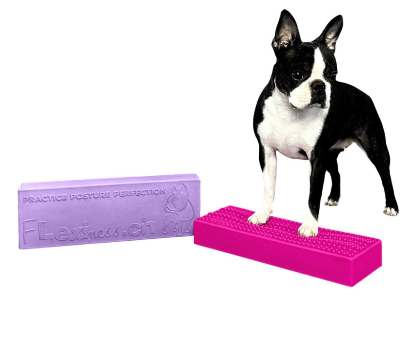 Flexiness Dog StackingBar Training Bar - Supports Precision & Paw Placement for Stability, Control & Rehab Training (1 Block, 35 × 11 × 5.5 cm)