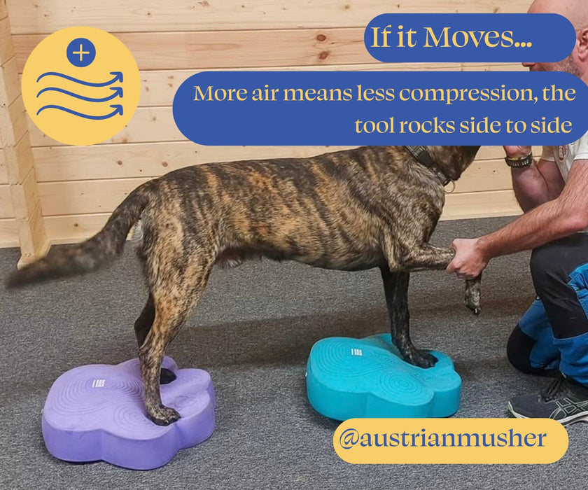 Flexiness Dog PawDisc Inflatable Training Disc - Builds Stability & Coordination for Rehab & Conditioning