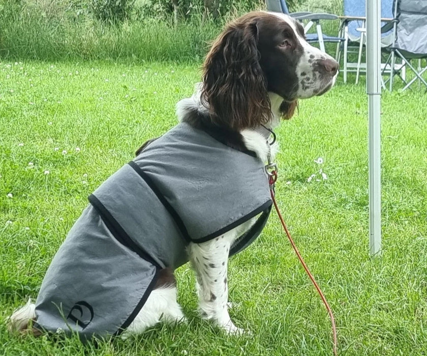 Paw Daw of London Luxury Cooling Dog Coat - Targeted Cooling & Sun Protection For Hot Weather