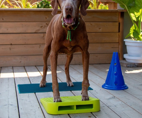 FitPaws Balance Ramp 14" - Green