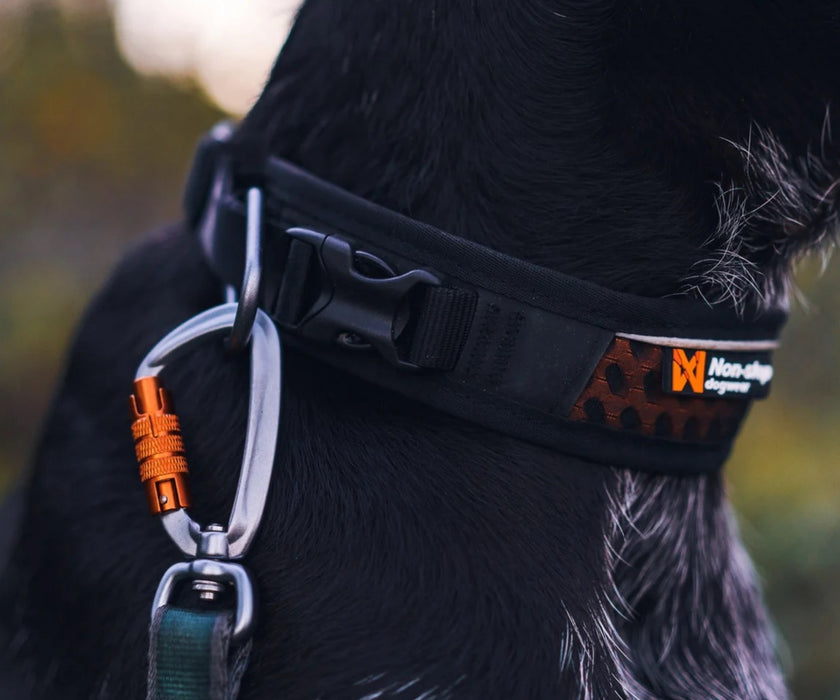 Non-Stop Dogwear Rock Adjustable Collar for Dogs - Breathable Comfort & Secure Fit (35cm–65cm Adjustable Neck)