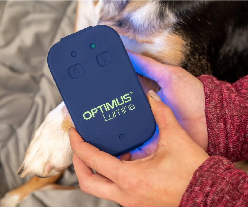 Optimus Lumina Dog Light Therapy Device - Red & Blue Light LED Device for Pain Relief, Inflammation & Skin Treatment