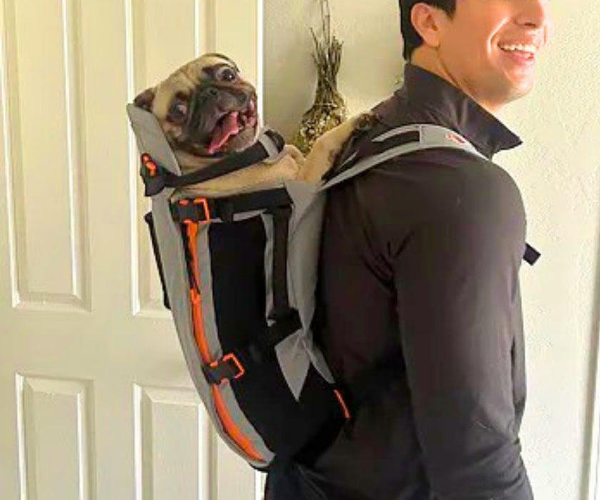 Little Chonk Maxine One Dog Backpack - Ergonomic Carrying for Tired & Limited Mobility Dogs (up to 22kg)
