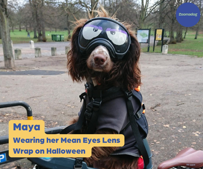 Rex Specs Lens Wrap - Stickers For Your Dog Goggles - Add a Pop of Personality