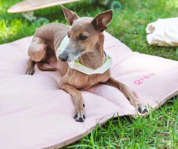 Flat Padded Nomad Dog Bed (by Qisu) - Perfect For Travelling, Home, the Park, Visiting Friends