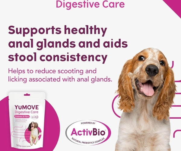 YuMOVE Digestive Care Probiotic & Fibre Powder for Dogs - Supports Anal Gland Health 180g