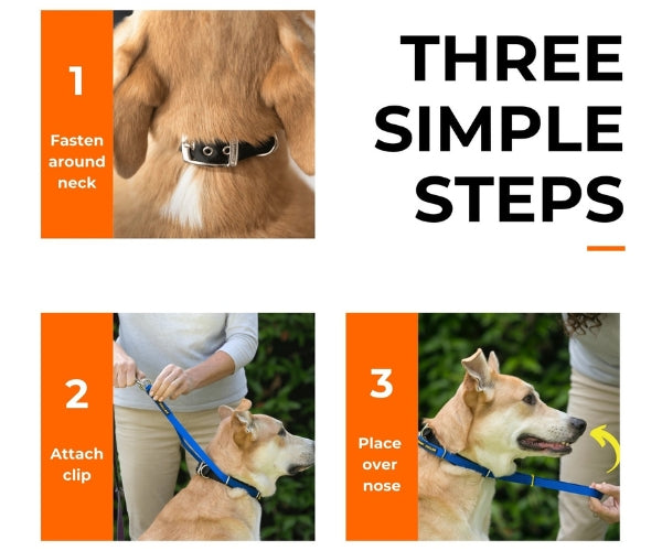 Canny Collar No Pull Dog Headcollar - Helps Train Your Dog to Stop Pulling for Stress-Free Walks (black)
