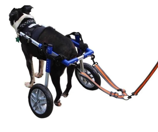 Wheelchair Dog Lead