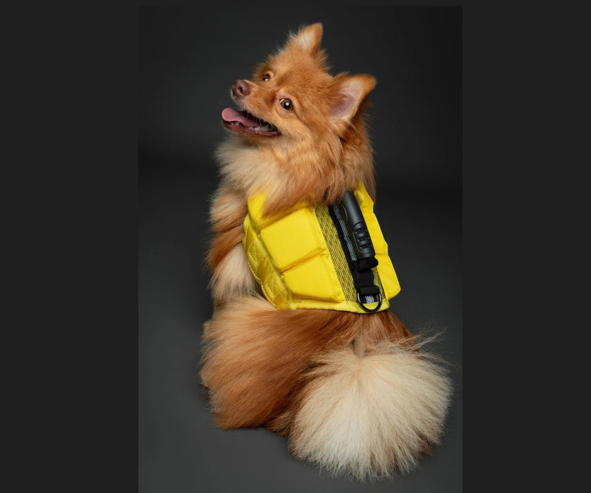 Noah & Paw Dog Life Jacket - Human Standards Life Jacket with Reinforced Rescue Handles for Comfortable & Supportive Swimming