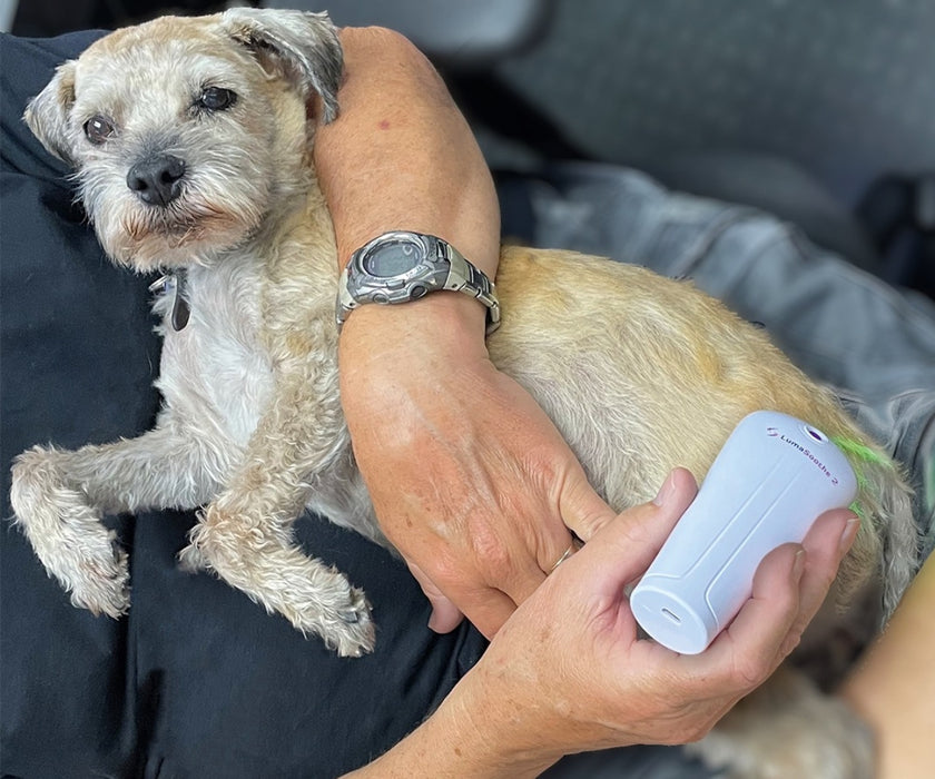 LumaSoothe Dog Light Therapy Device - Handheld LED Therapy for Pain Relief, Inflammation Reduction & Skin Healing