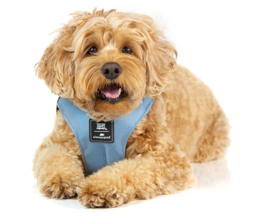 Sleepypod ClickIt Sport Plus Safety Dog Harness  - Keep Your Dog Safe In and Out Of The Car