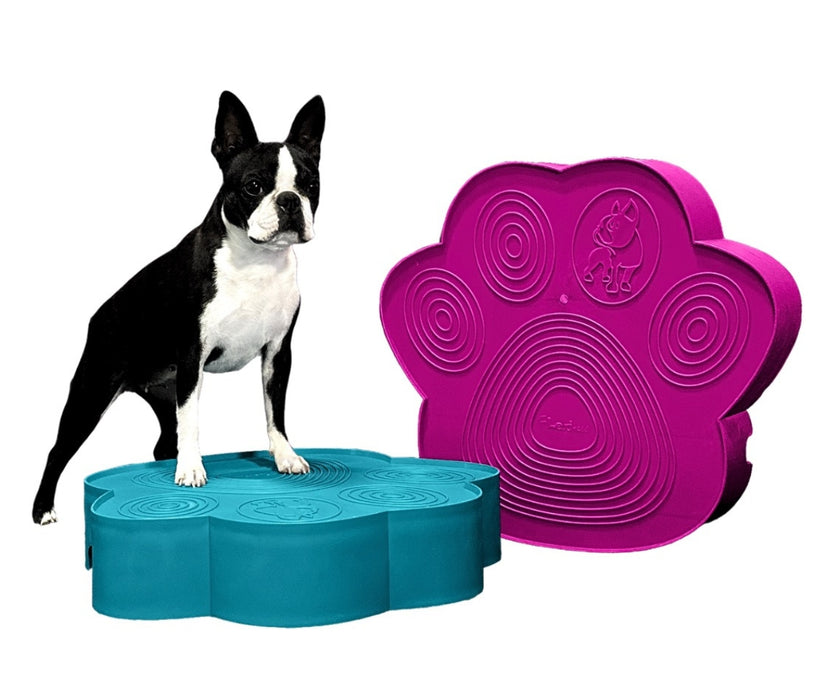 Flexiness Dog PawStep Training Platform - Builds Stability & Posture for Rehab & Controlled Movement