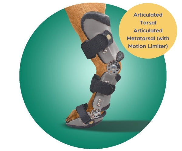 Scandi Orthopedic Hock and Tarsal Rear Splint Fully Customised - Grade 4 (rigid)
