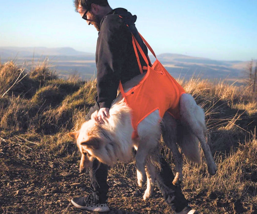 Non-Stop Dogwear Full Body Dog Sling - Help Your Dog Through Injury, Recovery & Adventure up to 50kg