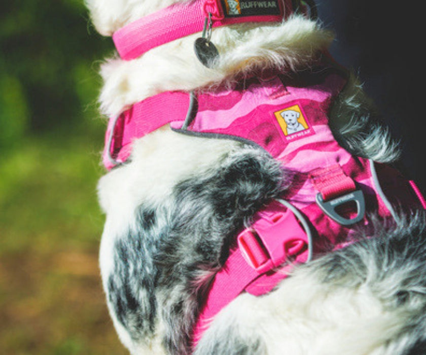 Ruffwear Front Range Dog Harness - Great Padded Everyday Harness With D-Ring