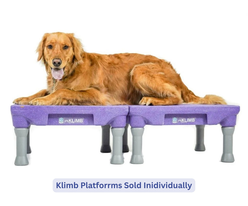 Blue-9 Dog Klimb Training Platform - Non-Slip Elevated Platform for Rehabilitation & Strength Building (61cm L x 61cm W x 31cm H)