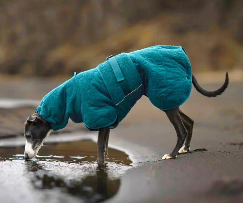 Non-Stop Dogwear Drying Coat for Dogs - Quickly Dries Wet Fur & Keeps Your Dog Warm