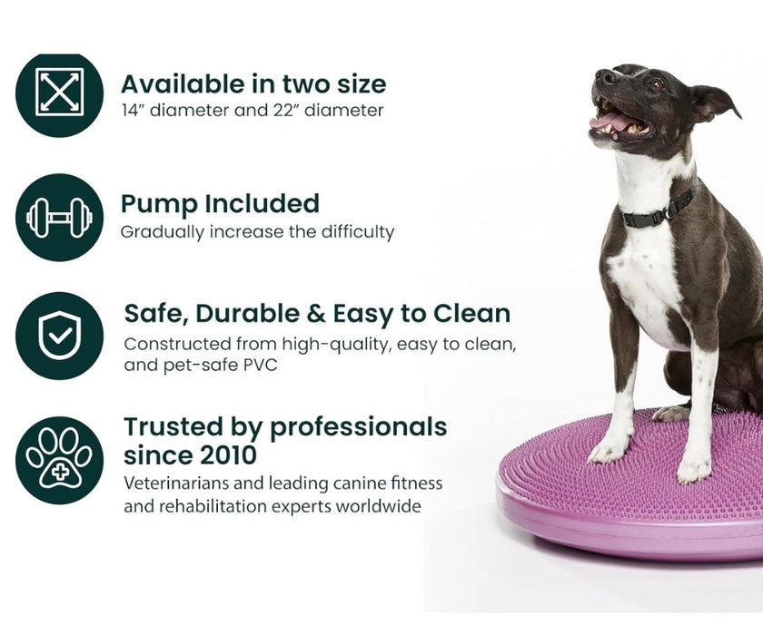 FitPaws Balance Disc 14", 18" or 22" - Blue or Razzleberry