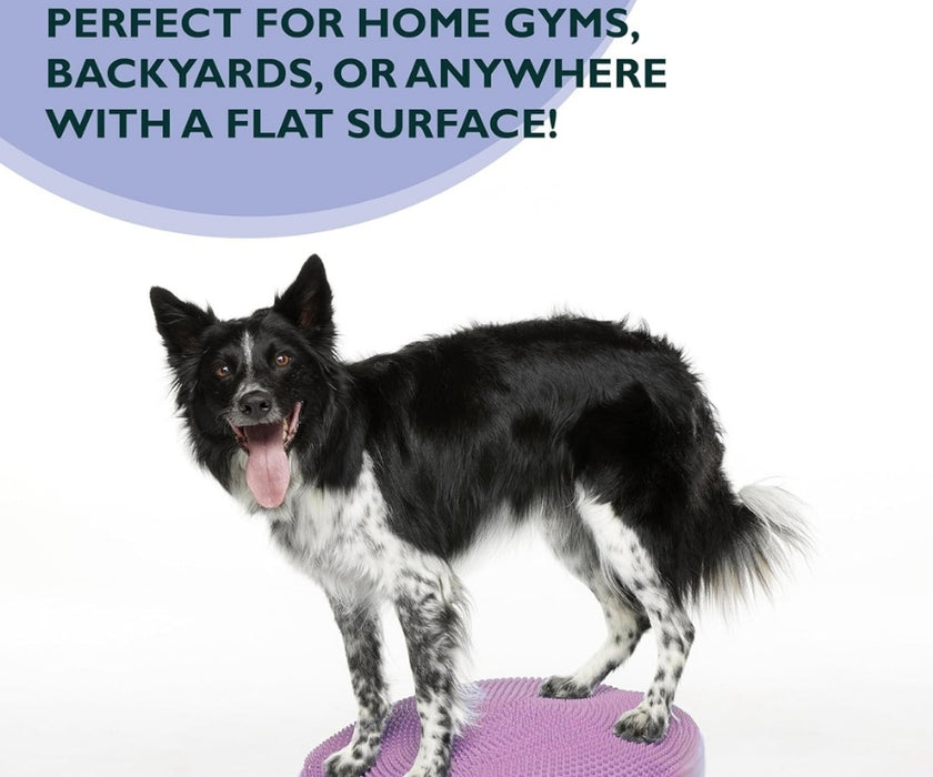 FitPaws Balance Disc 14", 18" or 22" - Blue or Razzleberry