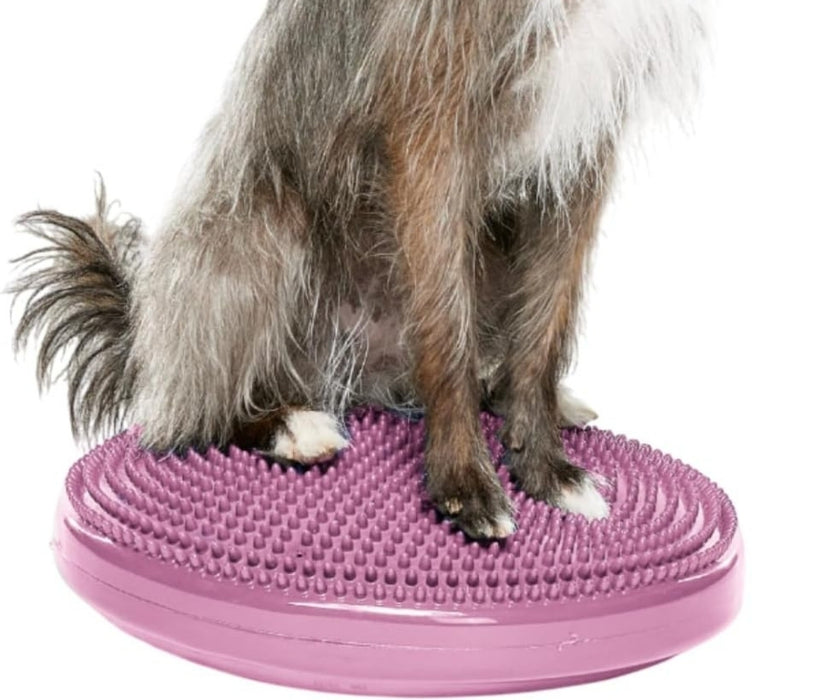 FitPaws Balance Disc 14", 18" or 22" - Blue or Razzleberry