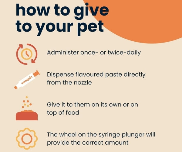 Seraquin Digest Paste for Dogs - Supports Healthy Digestion & Balances Your Dog's Gut 30ml