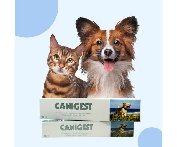 Canigest Digestive Support Paste for Dogs - Rebalances Good Bacteria In The Gut 15ml or 30ml