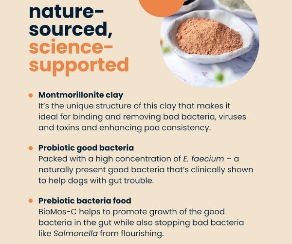 Seraquin Digest Paste for Dogs - Supports Healthy Digestion & Balances Your Dog's Gut 30ml