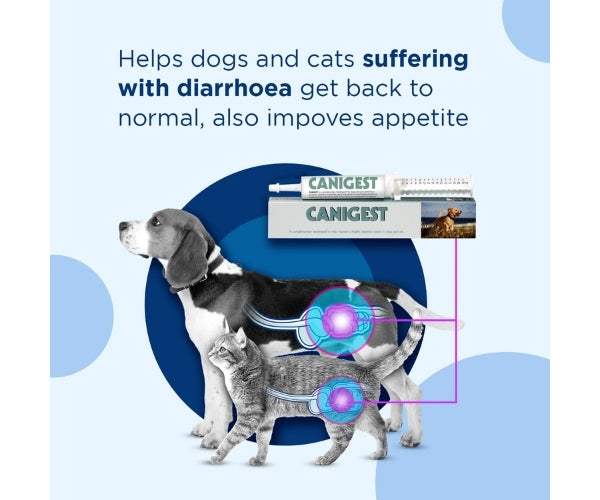 Canigest Digestive Support Paste for Dogs - Rebalances Good Bacteria In The Gut 15ml or 30ml