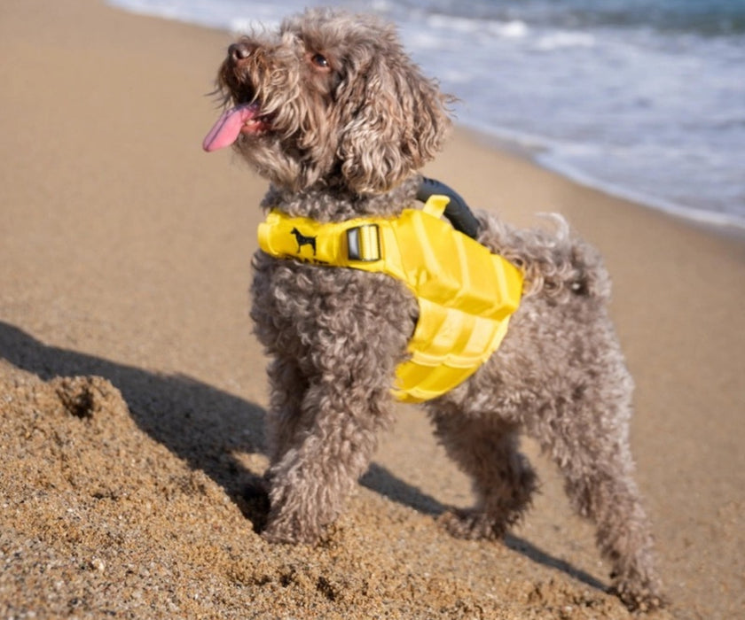 Noah & Paw Dog Life Jacket - Human Standards Life Jacket with Reinforced Rescue Handles for Comfortable & Supportive Swimming