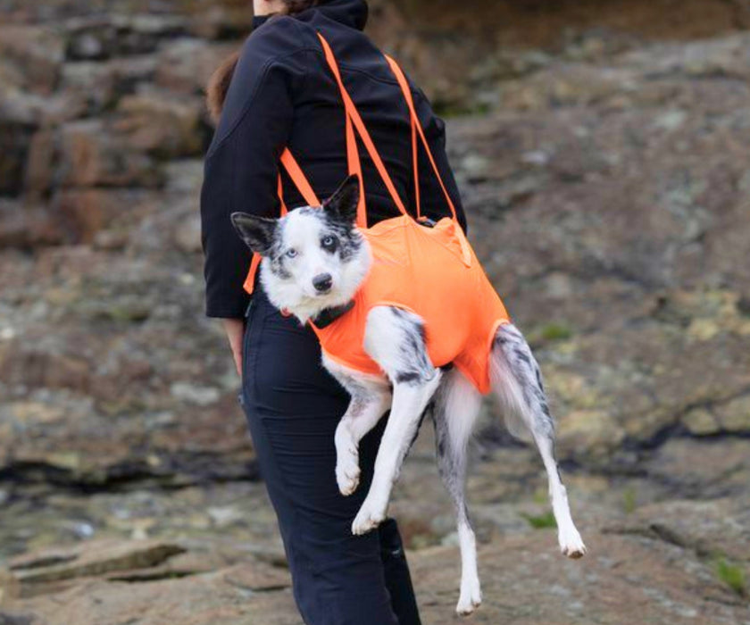 Non-Stop Dogwear Full Body Dog Sling - Help Your Dog Through Injury, Recovery & Adventure up to 50kg