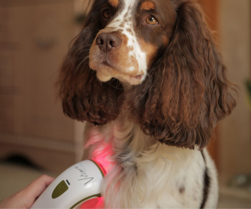 Photizo Vetcare - LED Light Therapy - Excellent for Arthritis, Stiffness and More. Accelerates Healing