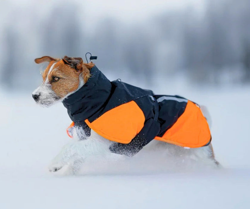 Non-Stop Dogwear Glacier Jacket 3.0 for Dogs - Exceptional Warmth & Comfortable Support for Stiff Joints