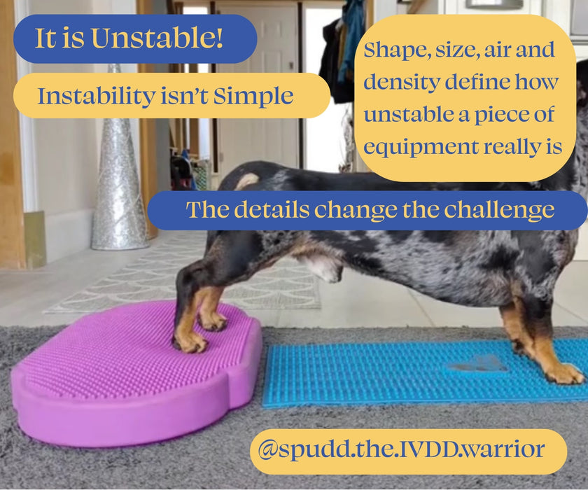 Flexiness Dog PawDisc Inflatable Training Disc - Builds Stability & Coordination for Rehab & Conditioning