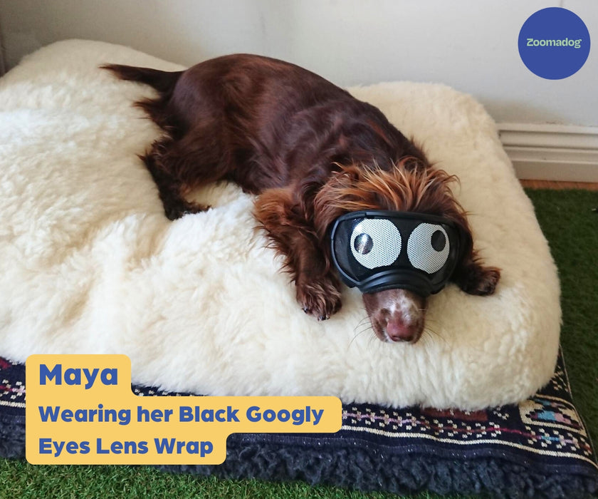 Rex Specs Lens Wrap - Stickers For Your Dog Goggles