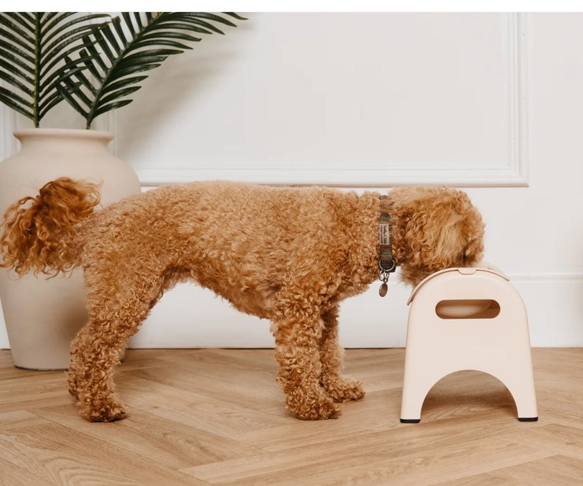EasyEat Raised Feeder Set for Dogs - Encourages Better Posture, Comfortable Feeding and Supports Digestion