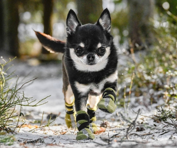 Reflective Tall Dog Boots - Fleece Reflective Boots, Keeps Your Dog Warm & Safe (four boots)